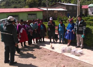 Ayacucho: Senasa intensifica labores de control integrado de roedores en Sucre