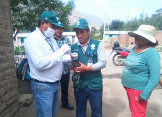 Huancavelica: Senasa colecta muestras para descarte de enfermedades en aves