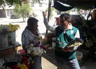 Piura: Vendedores de flores pueden evitar el ingreso de HLB al país y resguardar la citricultura