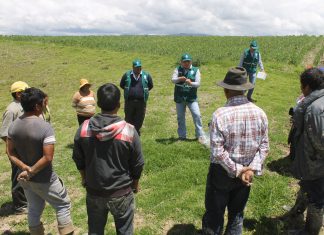 Junín: Senasa amplía el uso de controladores biológicos en campos de cultivo