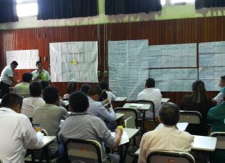 Huaral: Evalúan potenciales pérdidas económicas por HLB, enfermedad no presente en el país