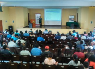 Tacna: Senasa prepara a productores de Olivo para enfrentar plagas en sus cultivos