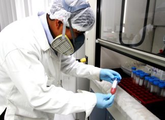 Senasa: Se aprueba Plan Anual de Monitoreo de Residuos Químicos y Otros Contaminantes en Alimentos Agropecuarios Primarios y Piensos