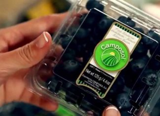 Adex: Estados Unidos fue el principal destino de los arándanos peruanos en el primer trimestre