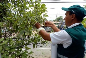 IMG_20180515_100408394