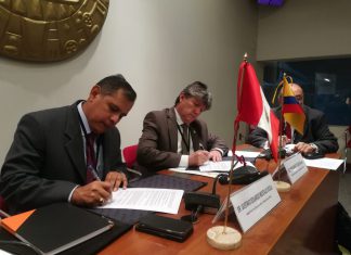 Perú y Ecuador unidos para enfrentar enfermedad incurable que acabaría con los cítricos