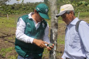 SENASA-PRODUCCIÓN-AGRÍCOLA