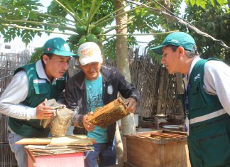 MINAGRI, COPEAPI y FEPEAPI analizan problemática del sector apícola