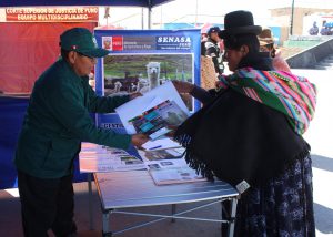 Senasa - Gobierno promueve acciones preventivas en zonas altoandinas de Puno