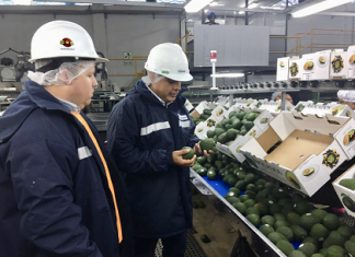 Ministro de Agricultura y Riego realiza supervisión en campo a agroexportaciones en Ica