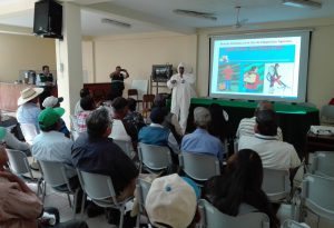 senasa-arequipa-plaguicidas