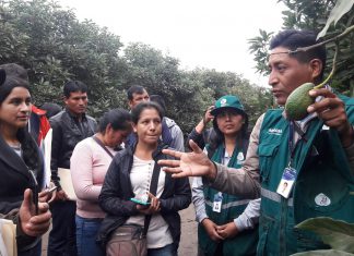 MINAGRI inicia pasantías para pequeños productores en zonas de agroexportación