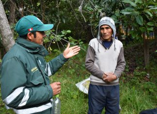 Ayacucho: Pequeños fruticultores fortalecen sus competencias para obtener cultivos más sanos