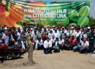 Autoridades y productores de Piura asumen compromiso para evitar ingreso de HLB al Perú