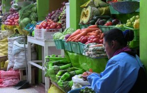 senasa-puno-capacitacion-comerciantes