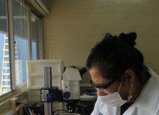 Control Biológico del Senasa