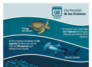 Prevenir la contaminación del plástico y fomentar soluciones para un océano saludable