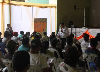 MINAGRI y citricultores de la Selva Central fortalecen acciones de prevención contra el HLB