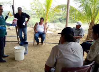 MINAGRI promueve nuevas alternativas para control de plagas en Tumbes