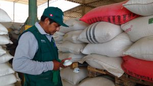 SENASA granos almacenados - Minagri