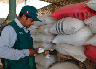 Recomiendan buenas prácticas de almacenamiento de alimentos para evitar presencia de contaminantes