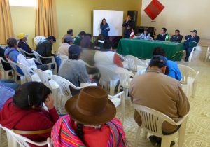 senasa-apurimac-mesa-tecnica-de-la-papa