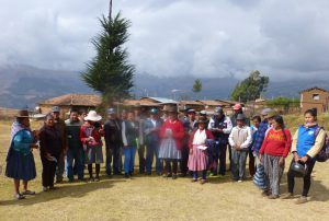 senasa-apurimac-roedores-1