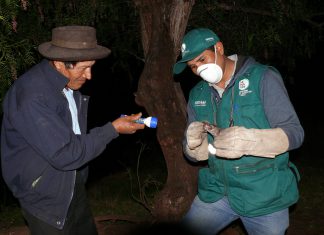 MINAGRI intensifica control selectivo de murciélagos en el Vraem