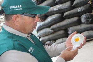 senasa-lambayeque-plaga-de-los-granos