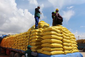 senasa-puno-importaciones