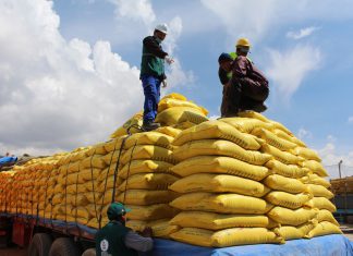 MINAGRI: Vigilancia fitosanitaria en productos de importación en Puno