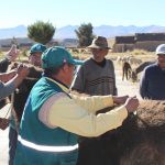 senasa-puno-vacunacion-antiparasitaria-2