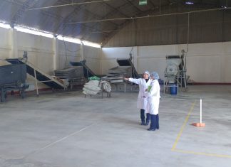 Tacna: Inspección de planta procesadora y empacadora de productos agrícolas