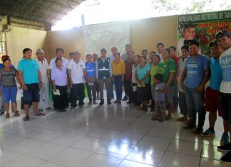 Acciones de prevención contra el caracol gigante africano en Ucayali