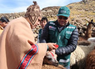 Ministro de Agricultura y Riego, Gustavo Mostajo supervisó entrega de ayuda ante heladas en Arequipa