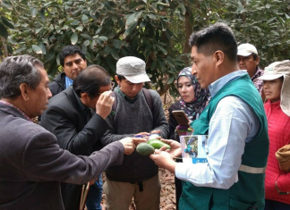 Misión de Malasia en Perú para tratar exportación de fruta fresca peruana