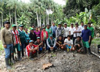 Agricultores de Loreto serán reconocidos como expertos en control de plagas del plátano
