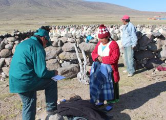 MINAGRI establece acciones inmediatas para proteger al ganado en San Antonio de Esquilache
