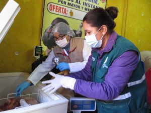 Operativo del Senasa y autoridades municipales en centros de venta y beneficio de aves