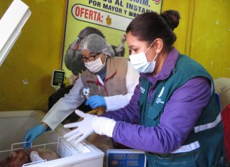 Cusco: Operativo del Senasa y autoridades municipales en centros de venta y beneficio de aves