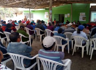 Productores de Supe y Senasa se unen para controlar plaga mosca de la fruta