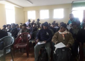 Moquegua: Productores de Ichuña se preparan para controlar plaga de roedores