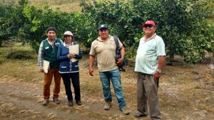 Senasa certifica Fundo Verde y fomenta producción libre de plaguicidas