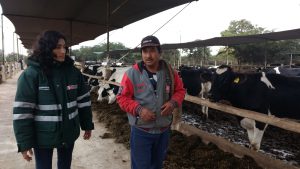 Senasa difunde las buenas prácticas ganaderas en establos lecheros de Ica