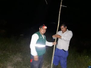 Senasa ejecuta control poblacional de murciélagos en provincia de Huallaga