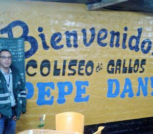 Senasa inspecciona coliseos gallísticos en la provincia de Huaral