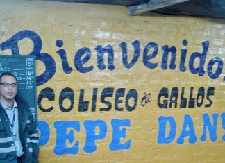 Senasa inspecciona coliseos gallísticos en la provincia de Huaral