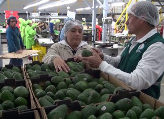 Senasa: Visita del jefe nacional a La Libertad