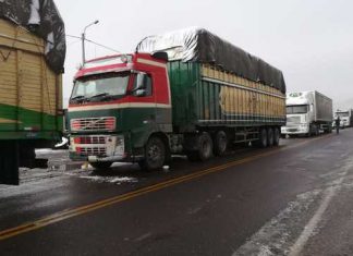 Minagri entregará kits veterinarios y pacas de heno en 177 distritos declarados en emergencia por heladas