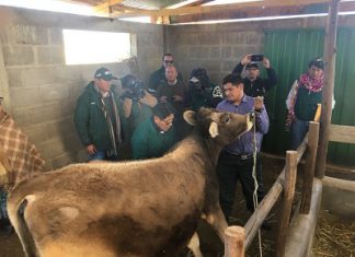 Ministro Mostajo: Gobierno está impulsando nueva entidad financiera para pequeños agricultores